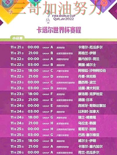 精选世界杯买球网站：从赛事直播到直播观看全流程解析 - FIFA World Cup 2026
